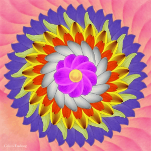 11 cosas que no sabias de los mandalas