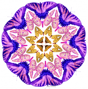 mandala-con-mariposas