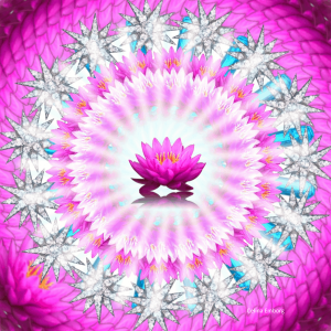 mandala-loto mandala-loto